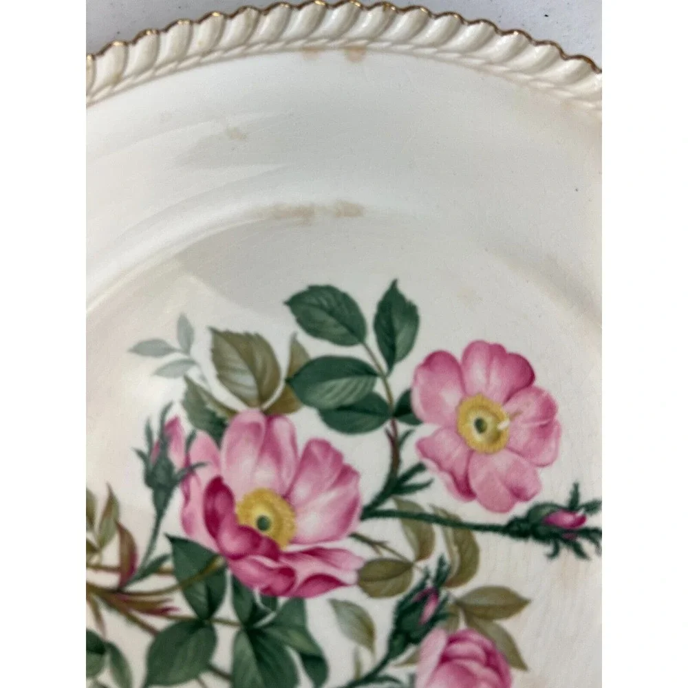 Vintage The‎ Harker Pottery Co. 22 KT. Gold Floral Scalloped Edge Dinner Plate